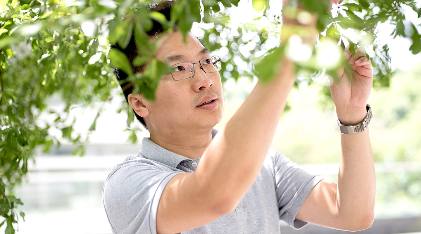 Wong Tak-sing takes his picks from nature <em>(Photo by Eric Sin)</em>