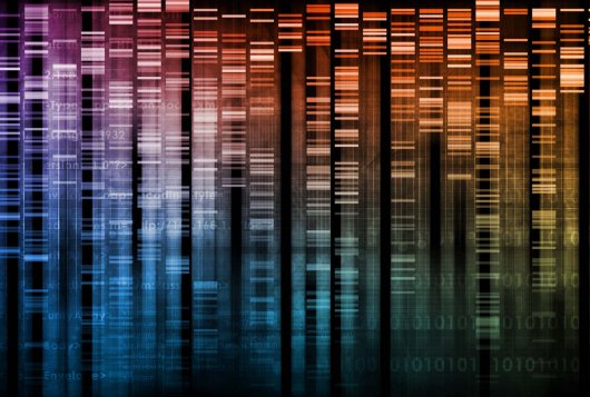 DNA barcode Database