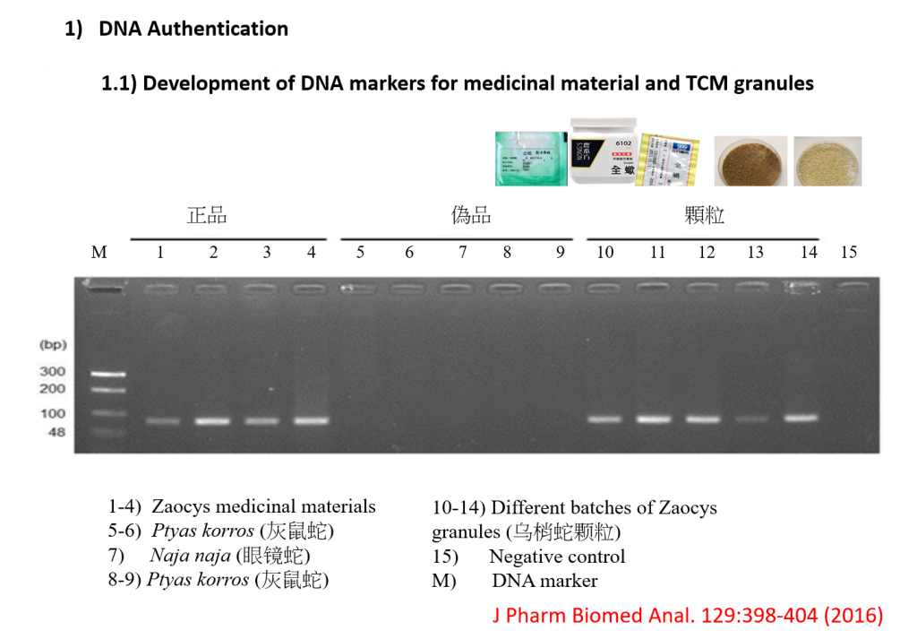 dna_authentication_1