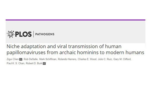 Evolution of cancer-causing HPVs