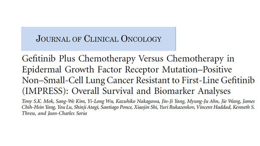 Lung Cancer Drugs Plus Chemotherapy