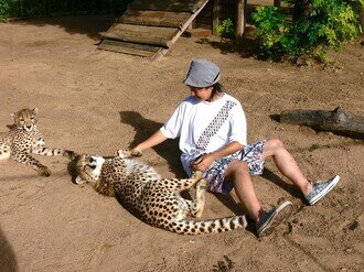 Dr. LIYEUNG Lucci Lugee took care of a cheetah called “Duma” during her volunteer work in Namibia before her study in CU Medicine