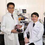 CUHK Uncovers a New Strategy to Turn “Cold” Liver Tumour “Hot” Leading to an Effective and Durable Combined Immunotherapy