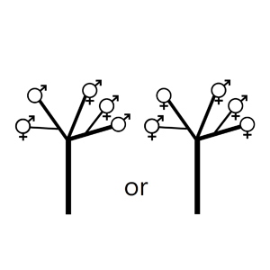 Polygamodioecious:|:雜性異株:|:杂性异株