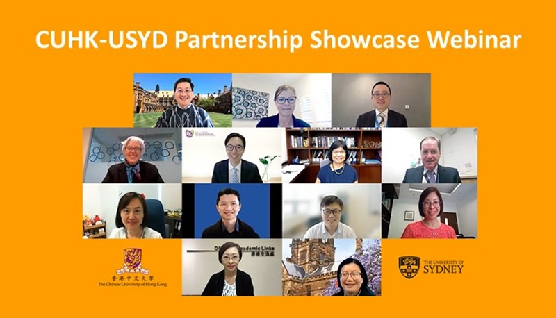 A joint webinar with USYD reveals how successful international partnerships are forged to promote research excellence.