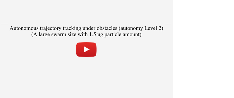 A video showing the AI system adjusting the path of the microrobot swarm.