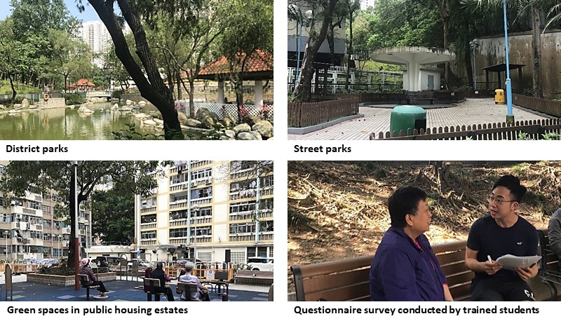 IOFC’s research sheds light on the use of urban green spaces to promote healthy ageing. 