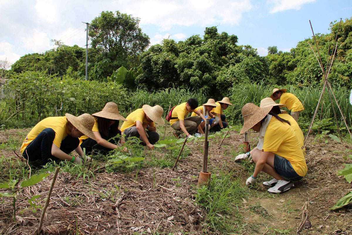 Community outreach excursions, <br/>C.W. Chu College (2012)