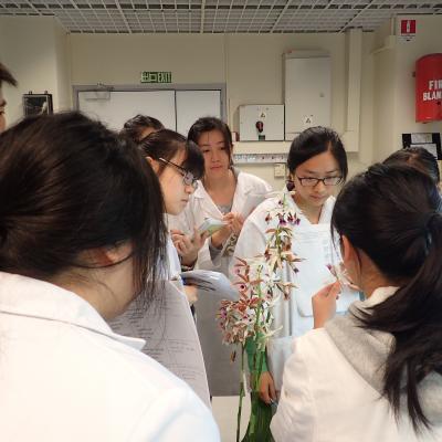 Biodiversity Lab 2 4 20150417 2070190679