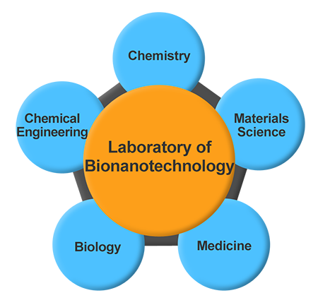 BionanoLab