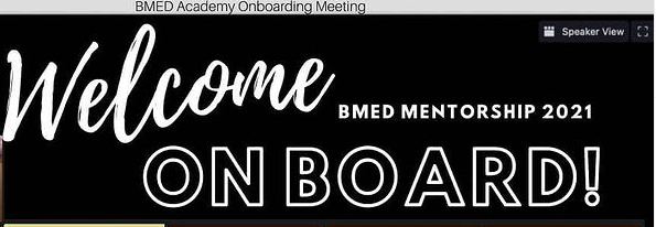 BMED Mentorship 2021 起動