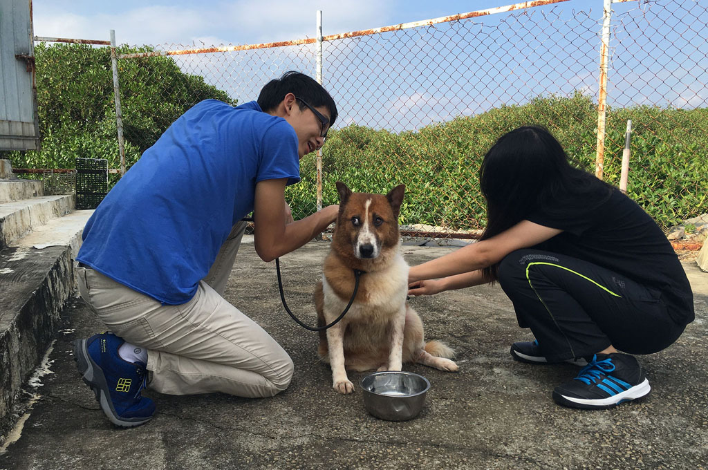 Service-Learning Programme