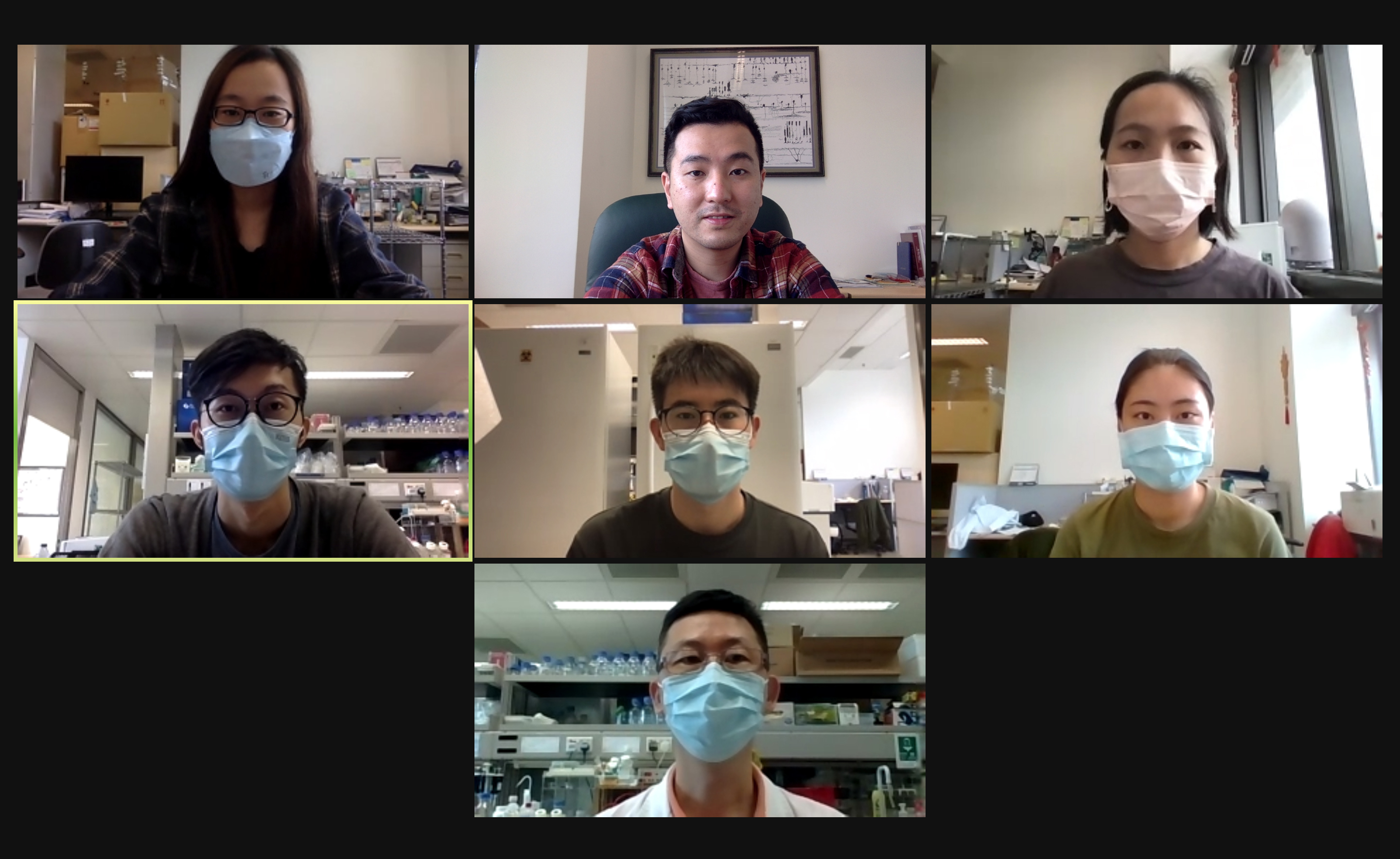 Prof. Ip conducts a zoom discussion with all his laboratory team members.