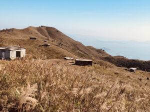 秋季時爛頭營漫山芒草，吸引大量市民和遊客前往遠足。