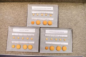 “Double-blinded, placebo-controlled food challenge” is the gold standard for shrimp allergy diagnosis. However, its clinical utility is limited as it is risky, labour-intensive and expensive.