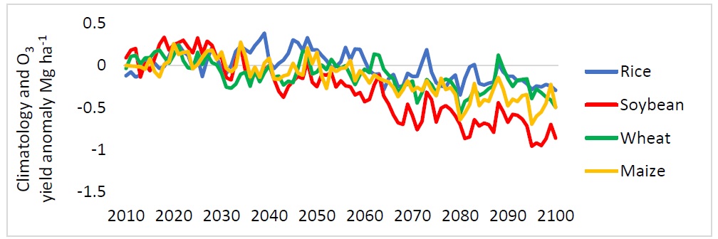 This graph shows the impact of combined climate change and Ozone increase in RCP8.5 scenario. Soybean is the most sensitive to ozone and therefore the yield difference is higher under combined ozone and climate change.