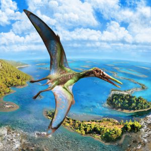 Pterosaur reptiles were the first vertebrates to take to the air. Pterosaurs of different sizes spent significant time around water and were capable of taking off from it. Image credit: Julius T. Csotonyi.