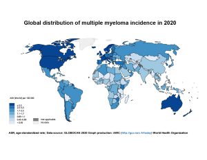 2020年多發性骨髓瘤的全球發病率分布