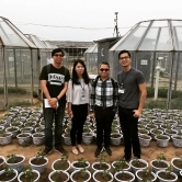 Professor Tai (second right) and his team (left to right: Dr Felix Leung, Xueying Shirley and Mehliyar Sadiq) visit the experimental site for investigating ozone and plant interaction at the Institute of Atmospheric Physics, Chinese Academy of Science in Beijing.