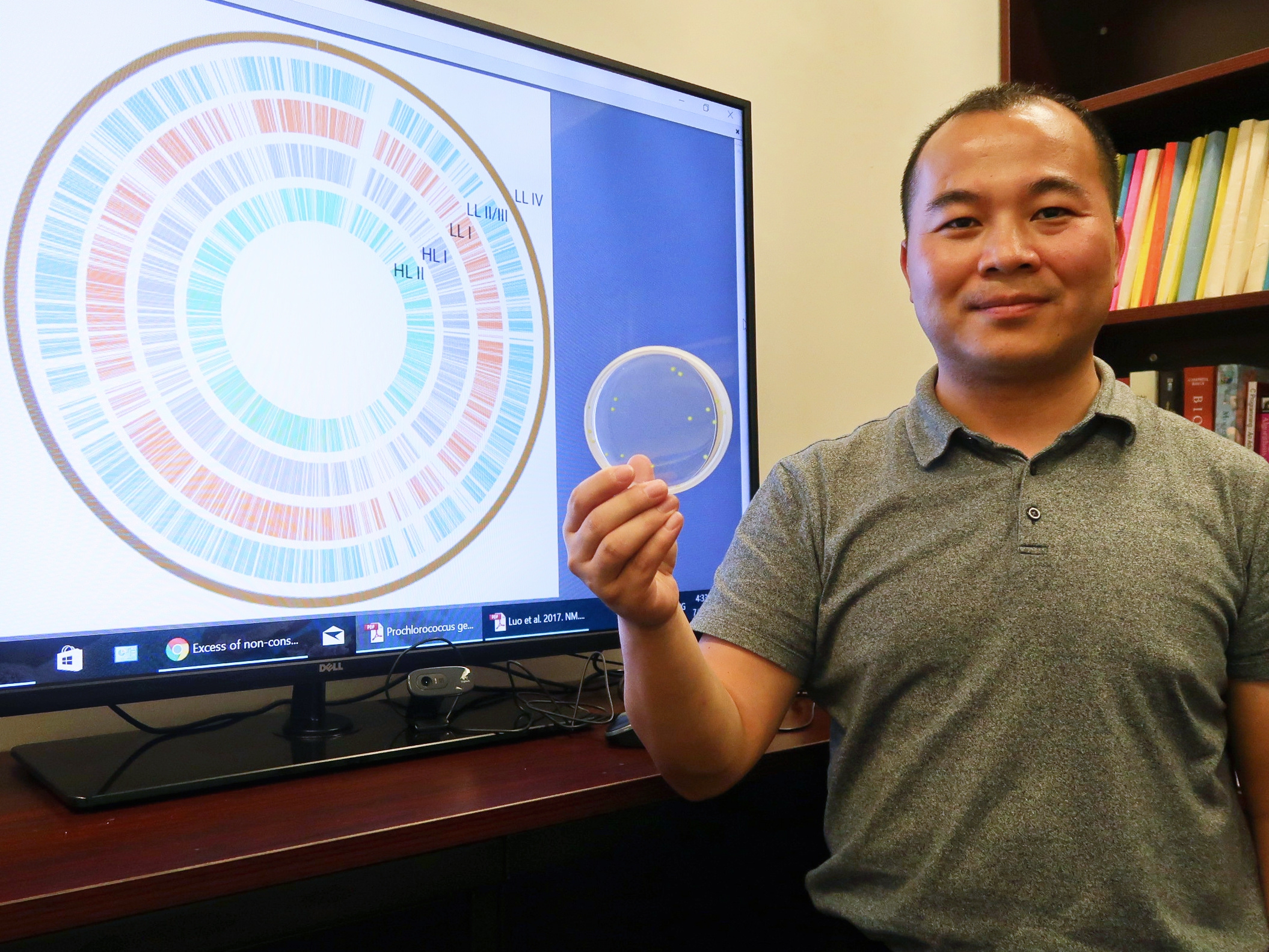 Prof. Haiwei Luo analyses the genomic DNA sequences of Prochlorococcus using a supercomputer to reconstruct their evolutionary history.