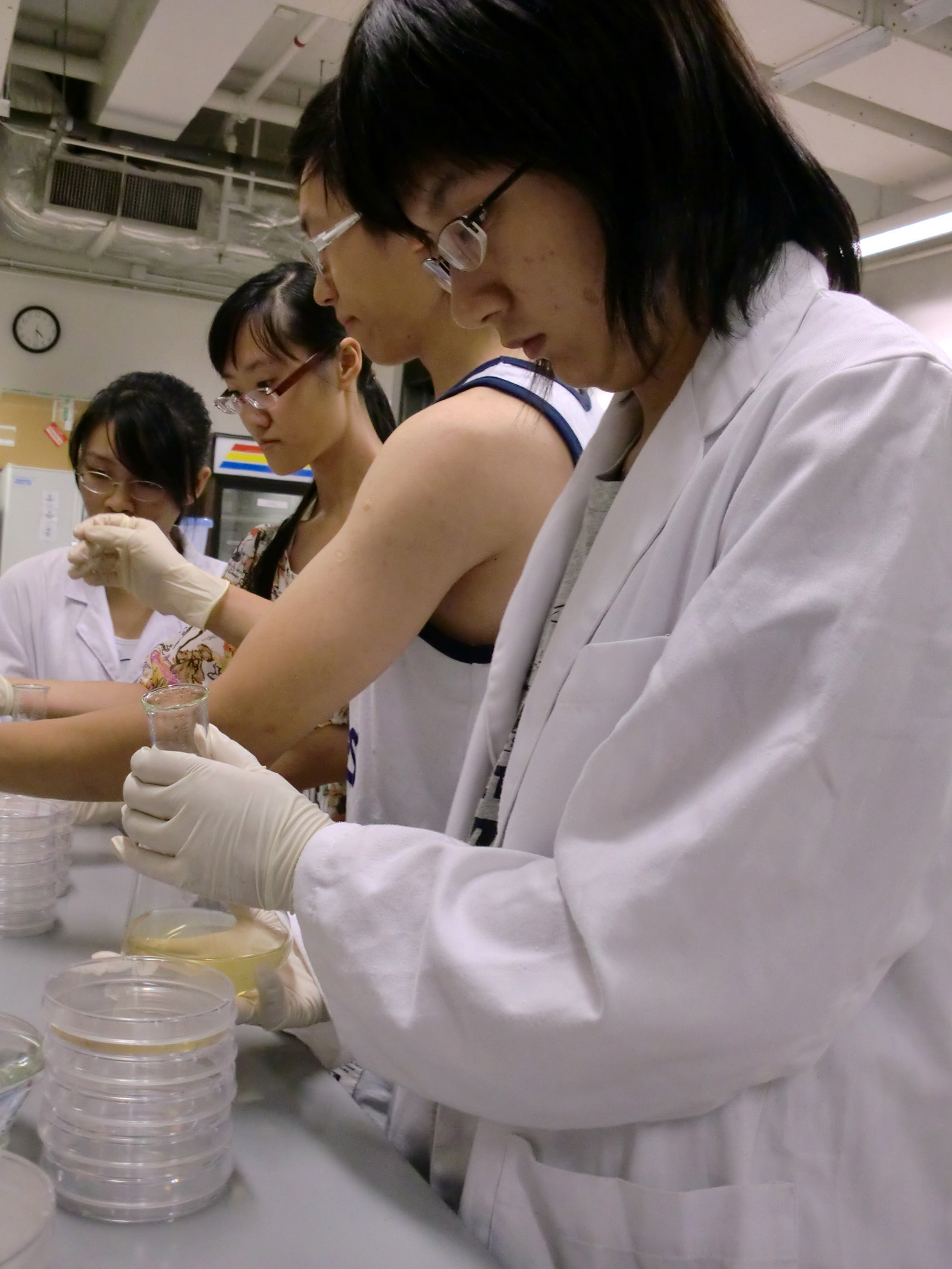 Developing bacteria at the laboratory