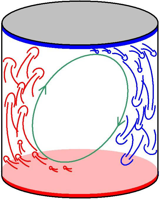 A diagram showing a turbulent thermal convection experiment conducted in a sealed environment. Fluid at the bottom is heated, thus thermal plumes are formed to ascend (red arrows), while fluid at the top layer is chilled to form cold plumes that descend (blue arrows). The plumes are found to be responsible for the formation of large-scale circulation (green arrows)