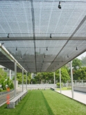 Green roof of Lady Shaw Building