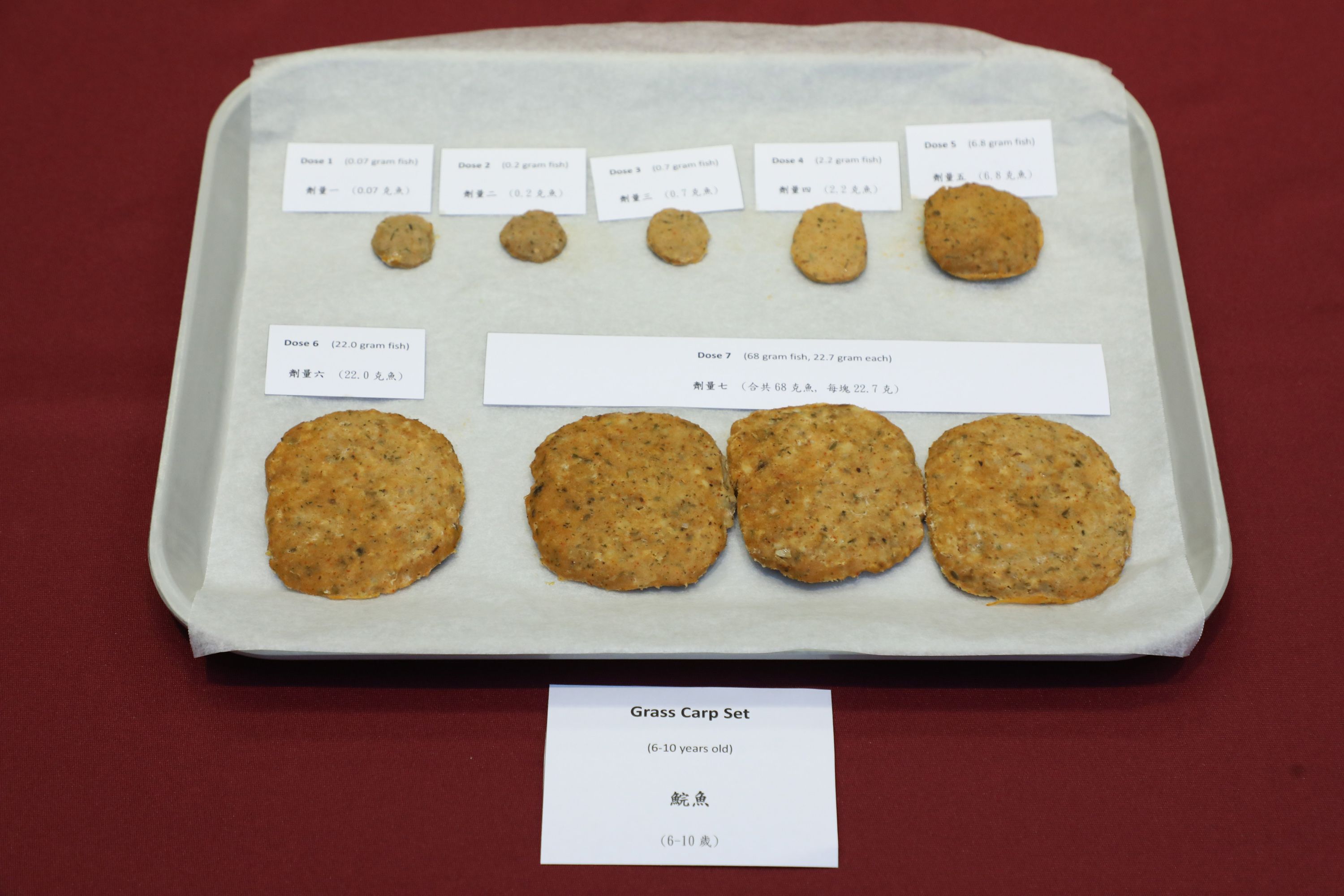 “Double-blind placebo-controlled oral food challenge” is a gold measurement for food allergy diagnosis. The meat pies shown in the photo are with a mixture of pork and grass carp. Each of the pieces are in different portion of grass carp for accurate testing. Since different herbs and flavorings are added to the meat pies, participant can hardly tell what are the ingredients.