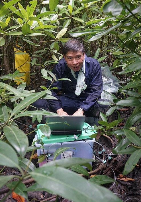 Prof. Lee measures sediment CO2 flux in a mangrove plantation in Malaysia.