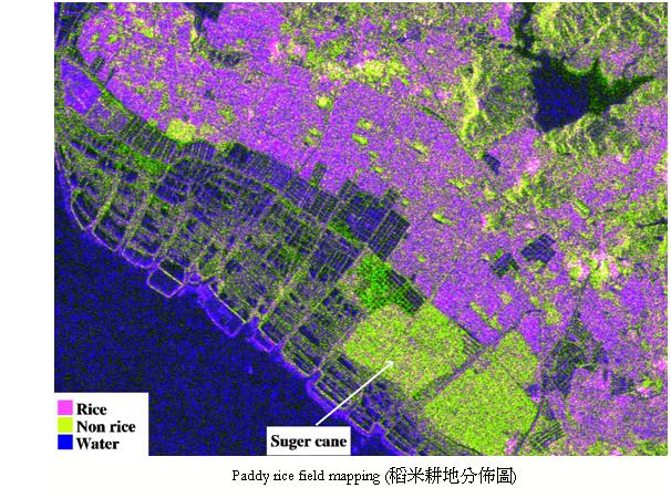 衛星圖：稻米耕地分佈圖