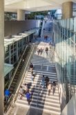 CUHK campus abounds in walking routes, with link-bridges and express lifts linking up different parts of the campus.  Photo shows the escalators at Yasumoto International Academic Park, which won the MIPIM Asia Award for Best Urban Regeneration Project 2013.