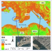 图2 香港九龙港岛地区不透水层卫星遥感监测 (2003年10月)
利用2003年10月18日SPOT 5卫星遥感图像，获取的香港维多利亚港两岸城区不透水层百分比 (impervious surfaces percentage, ISP) 资料，位于九龙和港岛的大部分城区具有很高的不透水层百分比，基本在60％以上，而位于图像底部和右上角的郊野区域则低于40％。那些具有高ISP的城市地区，人居环境品质、城市排污以及防洪泄洪将受到严重影响。