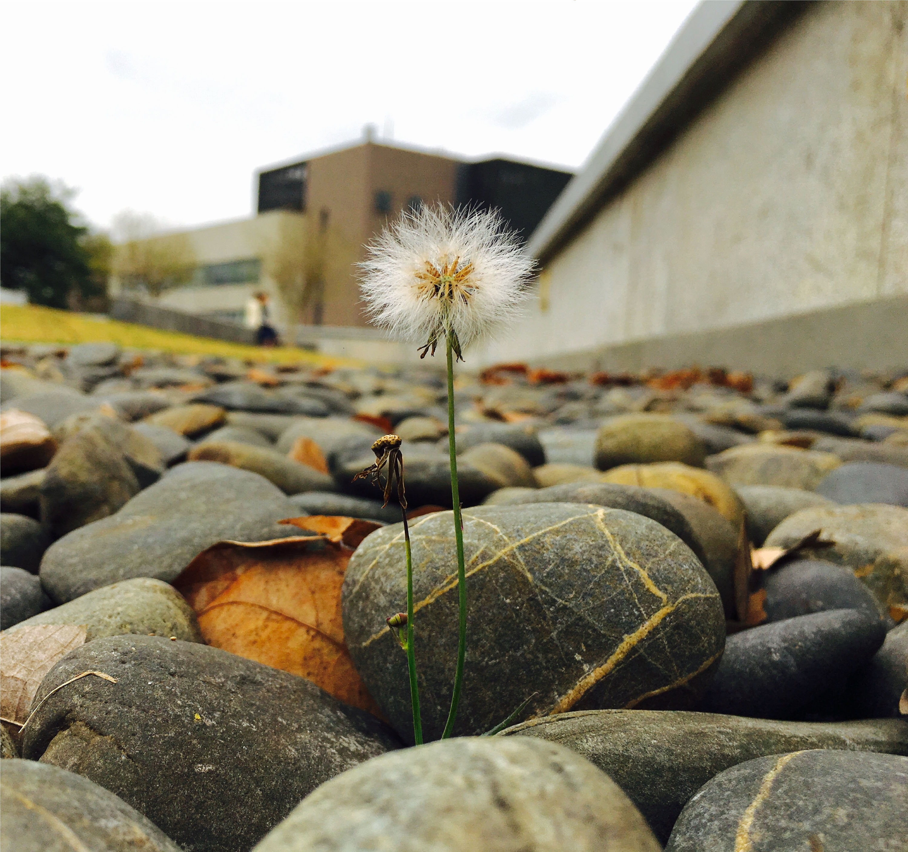 Champion work of the Eco Tour Photo Contest 2017  (Student Category)