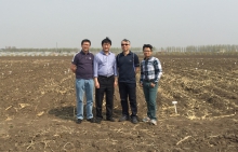 Prof. Amos P. K. Tai (first from right), Prof. Hon-ming Lam (second from right) and the research team.