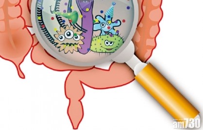 醫療新領域：甚麼是益菌？(Published on AM730)