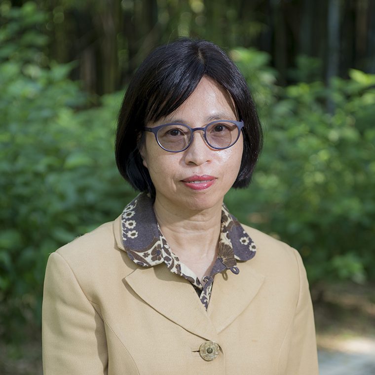 Prof. Helen F.K. CHIU, <br>Emeritus Professor