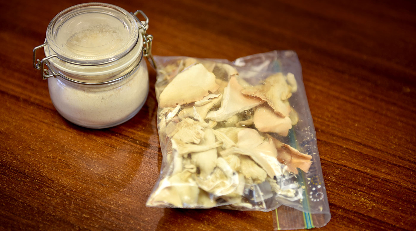 The team is developing mushroom powder products to accommodate the needs of the aged