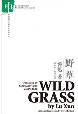 Wild Grass 野草