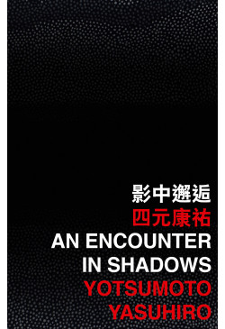 An Encounter in Shadows