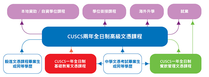 升學及就業途徑