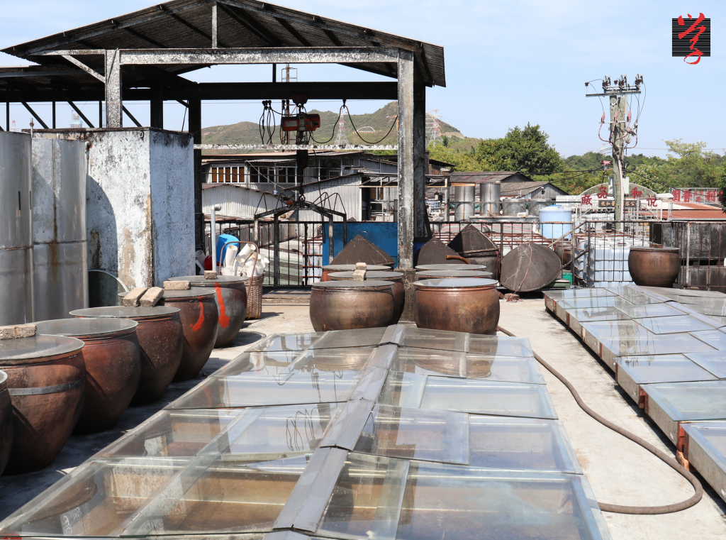 悅和醬園 本地醬園 醬缸 不銹鋼箱 豉油 天然生曬 上水古洞 民國時期製造的瓦缸 龐中衡