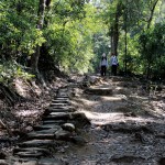 同在大欖郊野公園的合法單車徑旁邊便是行山人士用的石級，圖中兩位行山 客其實走上了越野單車徑 。