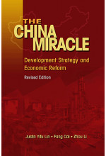 The China Miracle