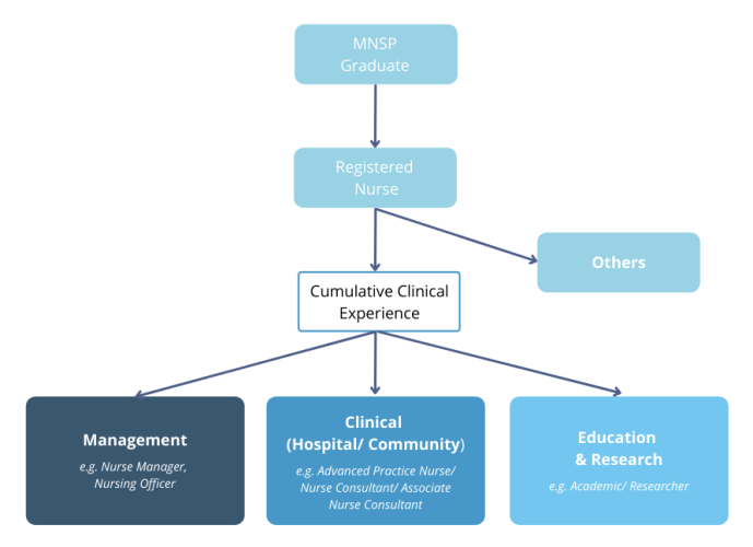 Website - programme structures