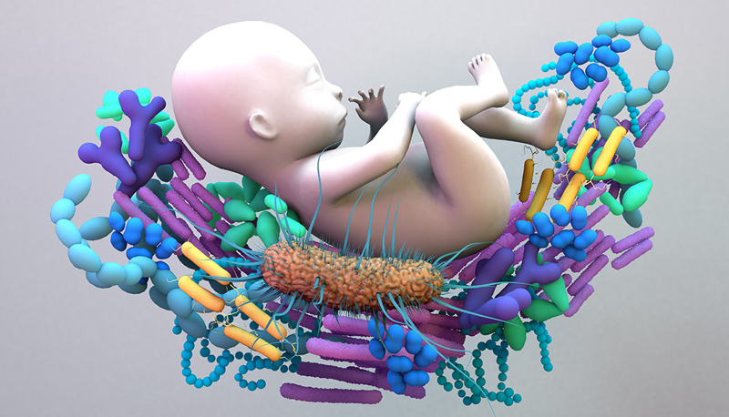 Increasing evidence suggests that the impact on health of gut microbiota in early life is as important as the human genome.