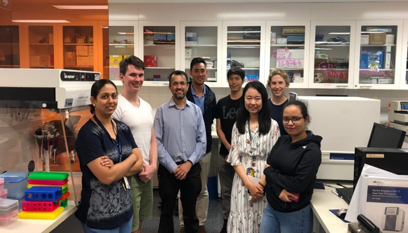 Ms. Feifei Cheng (2nd right, front) visits the University of Sydney to pursue a joint project on telomere length in diabetes with Prof. Anand Hardikar (3rd left, front).