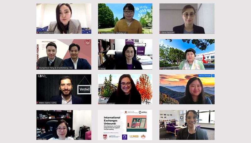 The APRU VSE co-curricular programme webinar gathers practitioners from across the Pacific Rim to share success stories and best practices in organising virtual activities for international students.