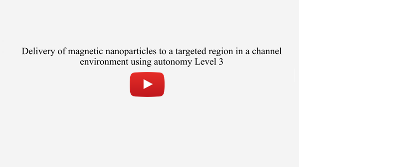 A video showing a microrobot swarm navigating in a web of tunnels towards a destination.