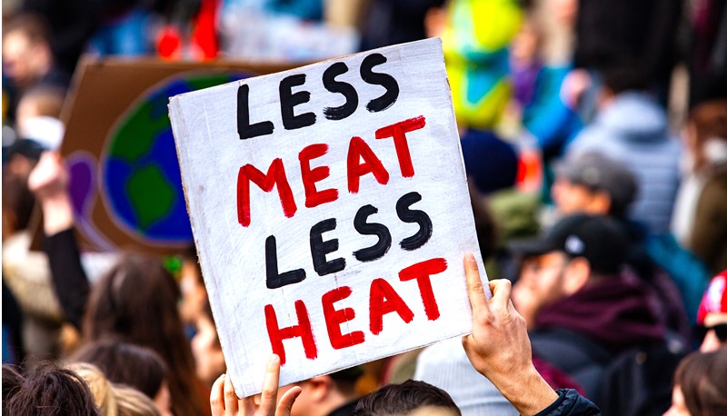 A less meat-intensive diet can help reduce air pollution.