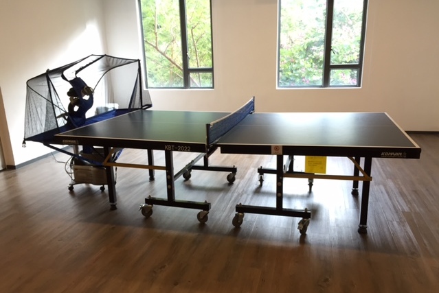 table tennis